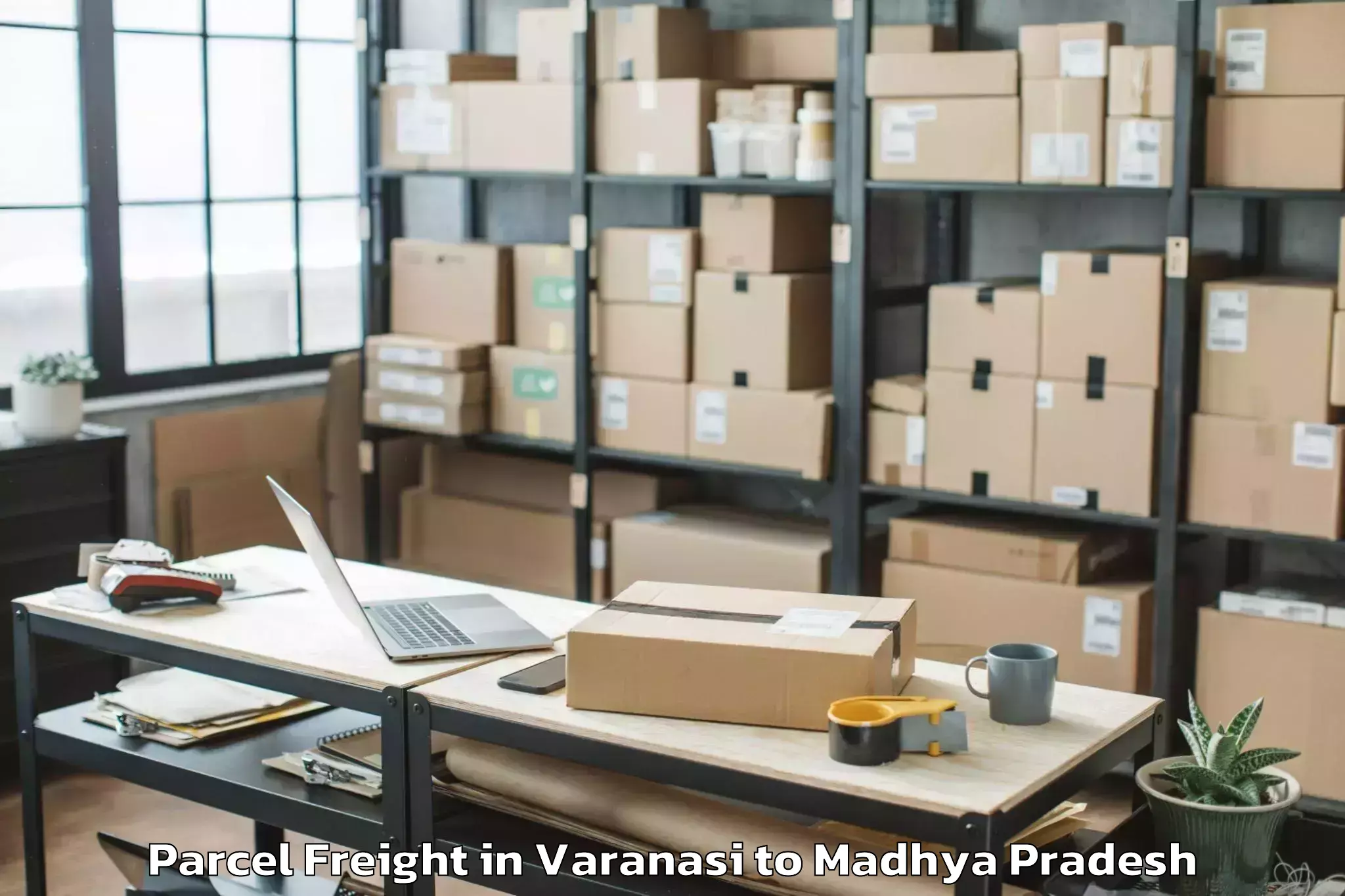 Book Varanasi to Punasa Parcel Freight Online